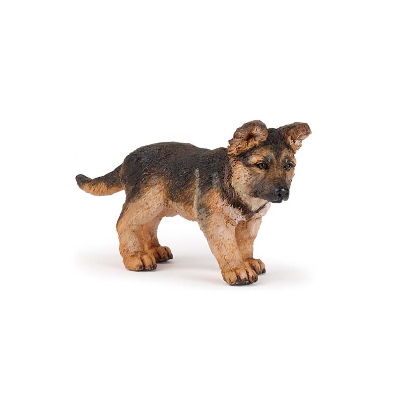 baby german shepherd baby german shepherd presse commerce distribution baby german shepherd baby german shepherd presse commerce distribution